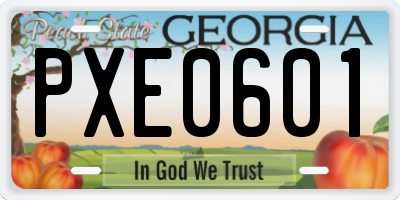 GA license plate PXE0601