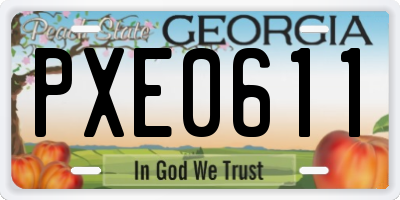 GA license plate PXE0611