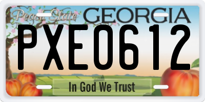 GA license plate PXE0612