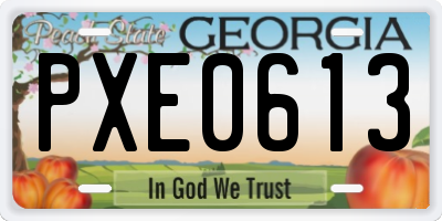 GA license plate PXE0613