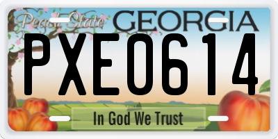 GA license plate PXE0614