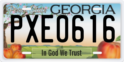 GA license plate PXE0616