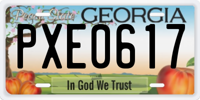 GA license plate PXE0617