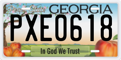 GA license plate PXE0618