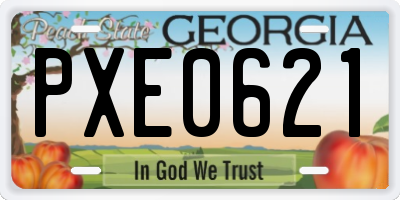 GA license plate PXE0621