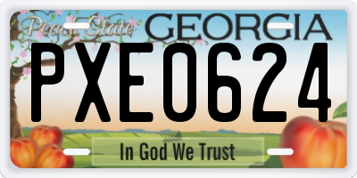 GA license plate PXE0624