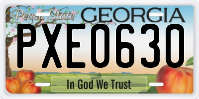 GA license plate PXE0630