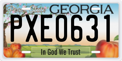GA license plate PXE0631