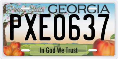GA license plate PXE0637