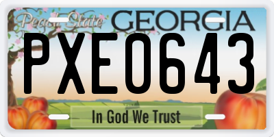 GA license plate PXE0643
