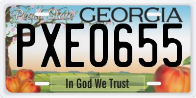 GA license plate PXE0655