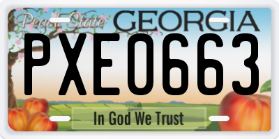GA license plate PXE0663