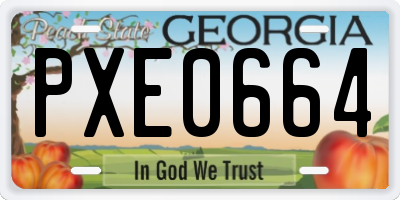 GA license plate PXE0664