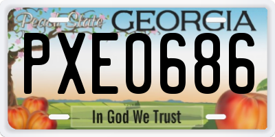GA license plate PXE0686
