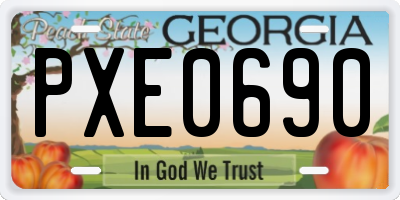 GA license plate PXE0690