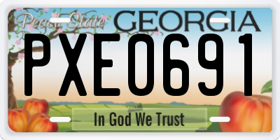 GA license plate PXE0691