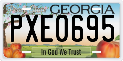 GA license plate PXE0695
