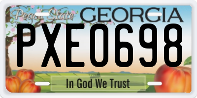 GA license plate PXE0698