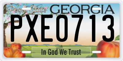 GA license plate PXE0713