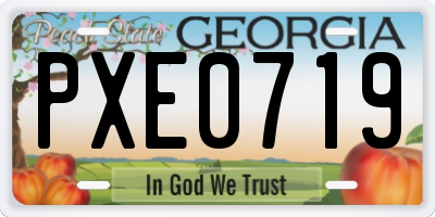 GA license plate PXE0719