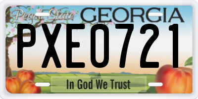 GA license plate PXE0721
