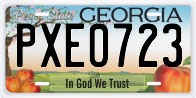 GA license plate PXE0723