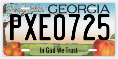 GA license plate PXE0725
