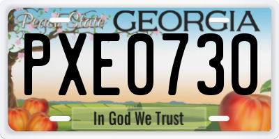 GA license plate PXE0730