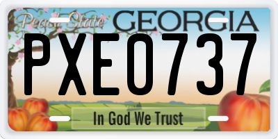 GA license plate PXE0737