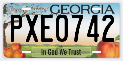 GA license plate PXE0742