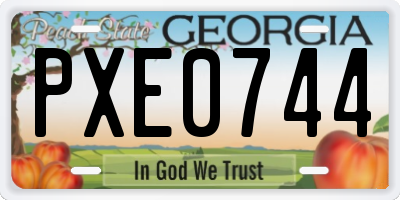 GA license plate PXE0744