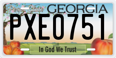 GA license plate PXE0751