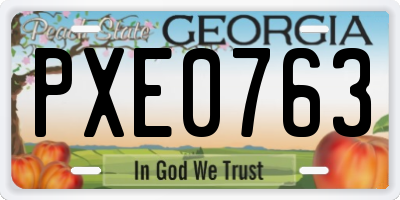GA license plate PXE0763
