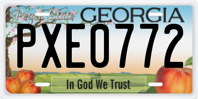 GA license plate PXE0772