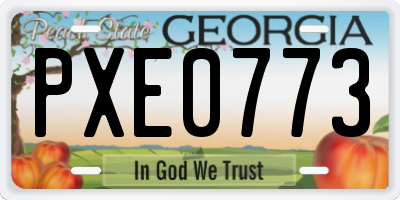 GA license plate PXE0773