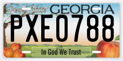 GA license plate PXE0788
