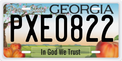 GA license plate PXE0822