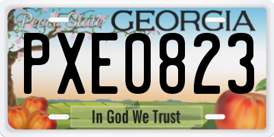 GA license plate PXE0823