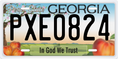 GA license plate PXE0824