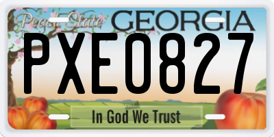 GA license plate PXE0827