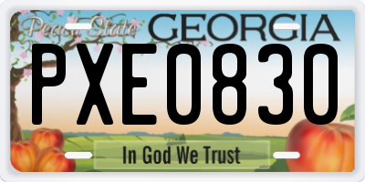 GA license plate PXE0830