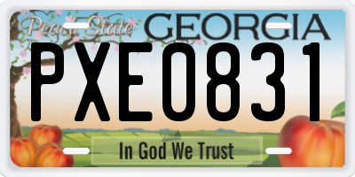 GA license plate PXE0831