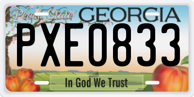 GA license plate PXE0833