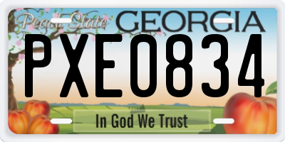 GA license plate PXE0834