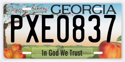 GA license plate PXE0837