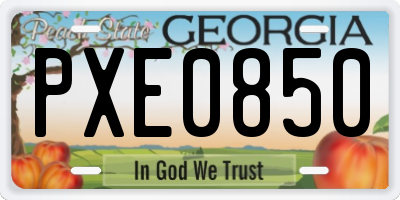 GA license plate PXE0850