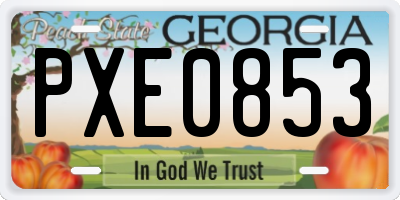 GA license plate PXE0853
