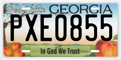 GA license plate PXE0855