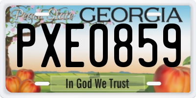 GA license plate PXE0859