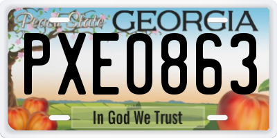 GA license plate PXE0863